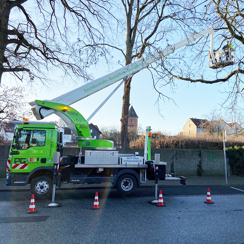 Leistungen im Bereich Baumpflege