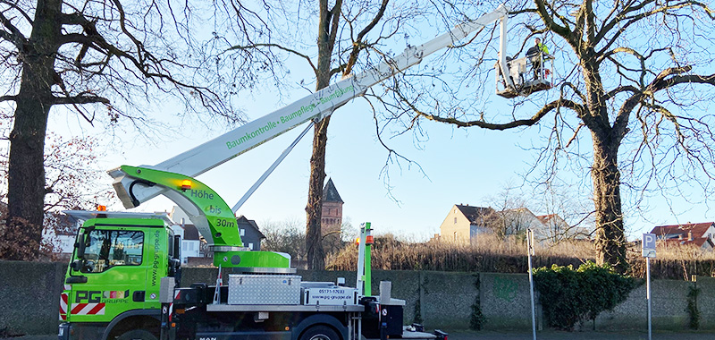 Leistungen im Bereich Baumpflege