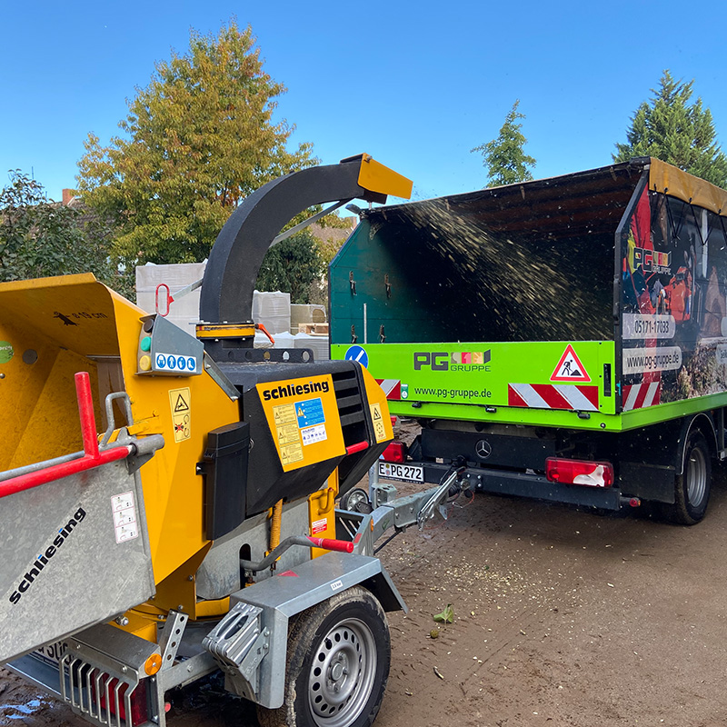 Baum fällen Seilklettertechnik / Hubarbeitsbühne