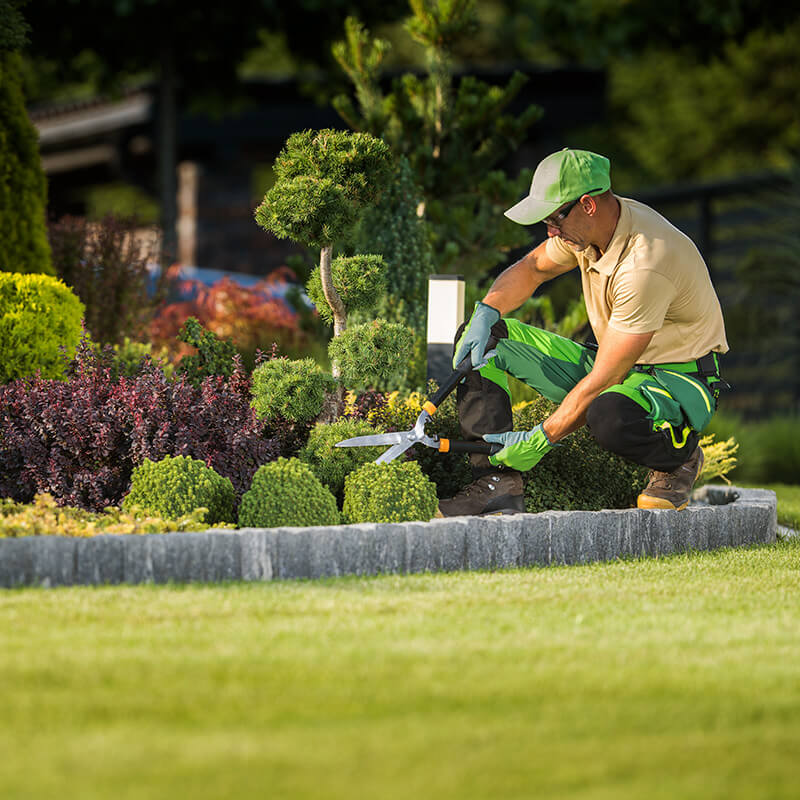 Garten und Landschaftspflege