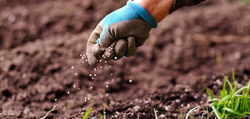 Gartenpflege Düngen