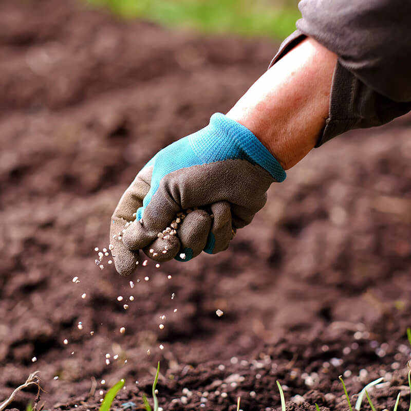 Gartenpflege Düngen