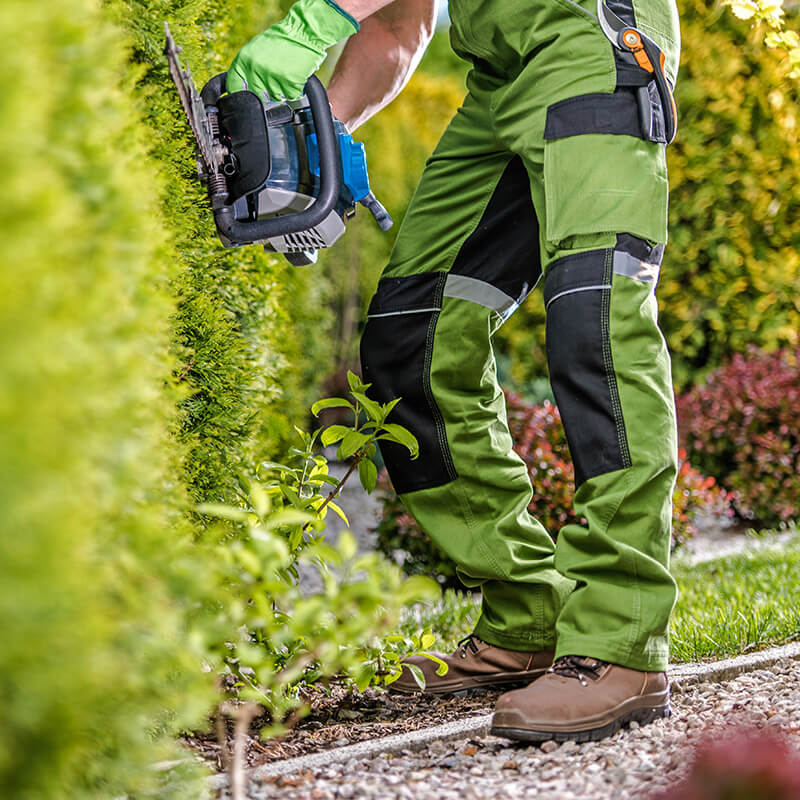 Gartenpflege - Wann sollte man die Hacke schneiden