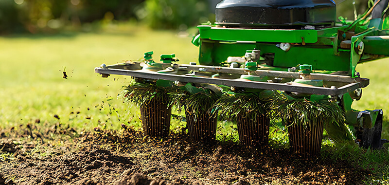 Gartenpflege Vertikutieren